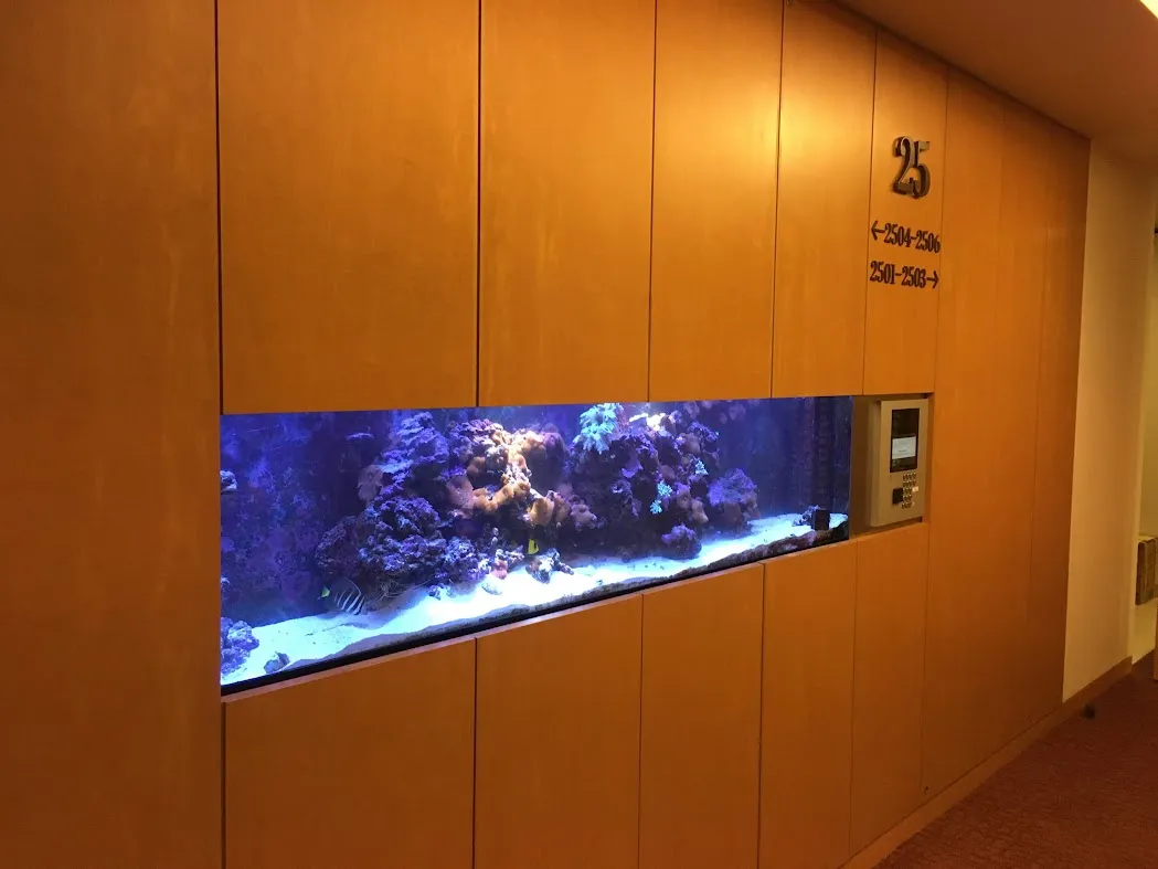 廊下の木製壁面に横長に埋め込まれた水槽が、やわらかな照明でサンゴ礁を映し出している