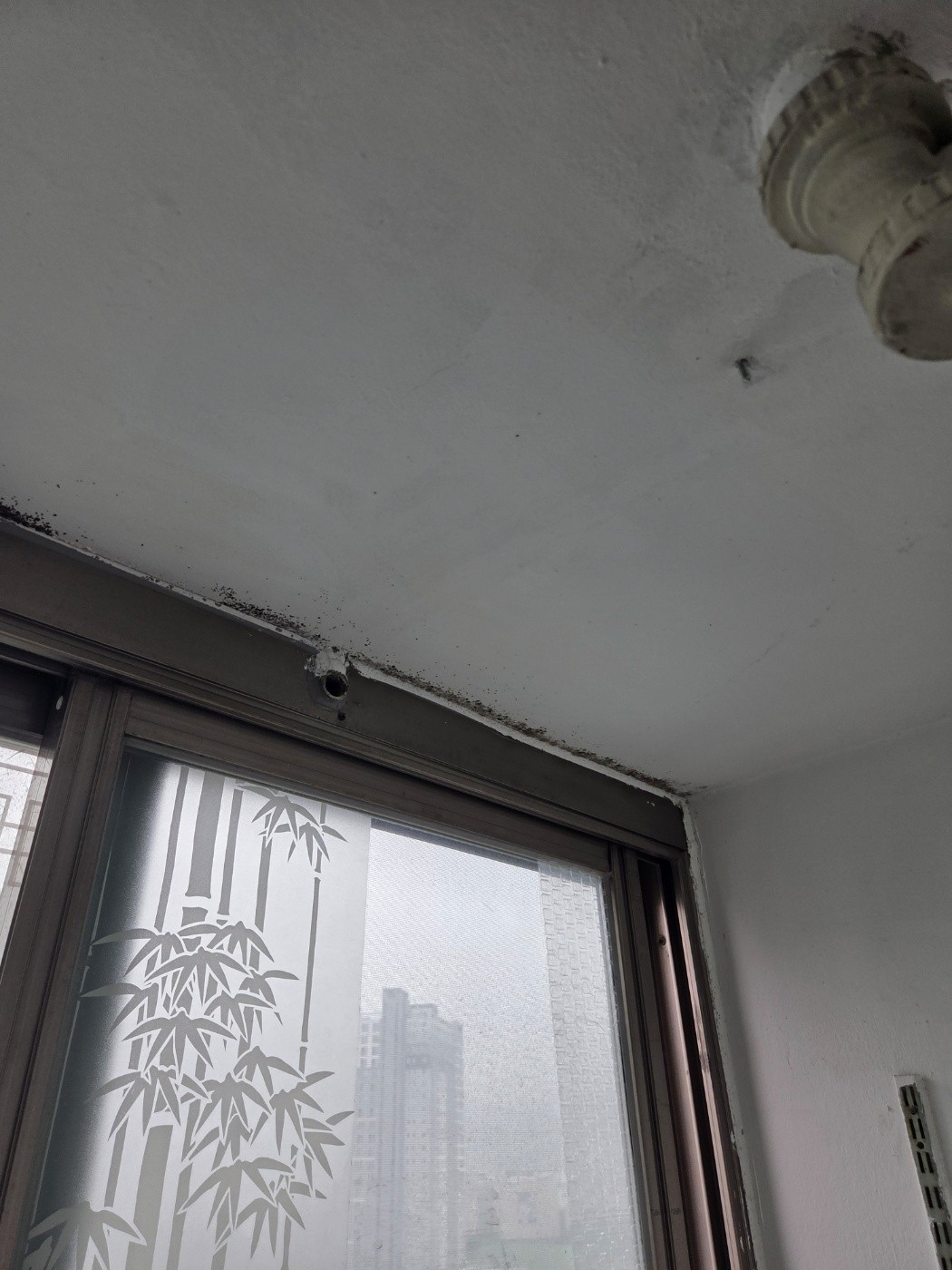 하남시 신장동 해오름한국아파트 도시가스배관철거 완료 │ 도시가스공사 신한울