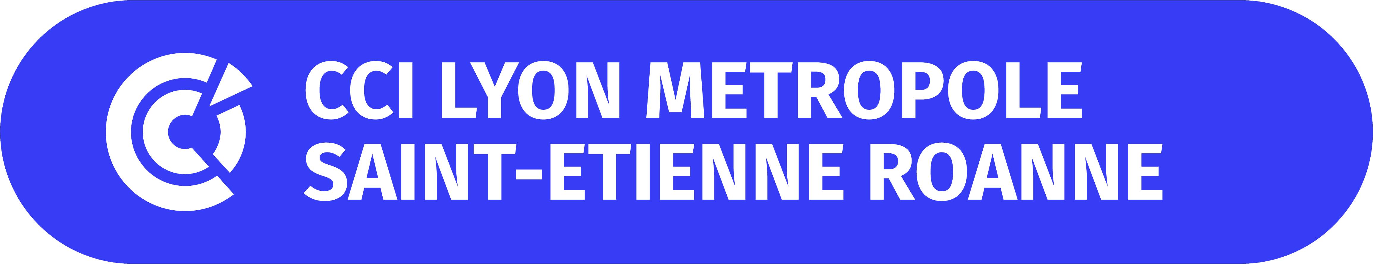 Logo LOGO-CCI lyon metropole