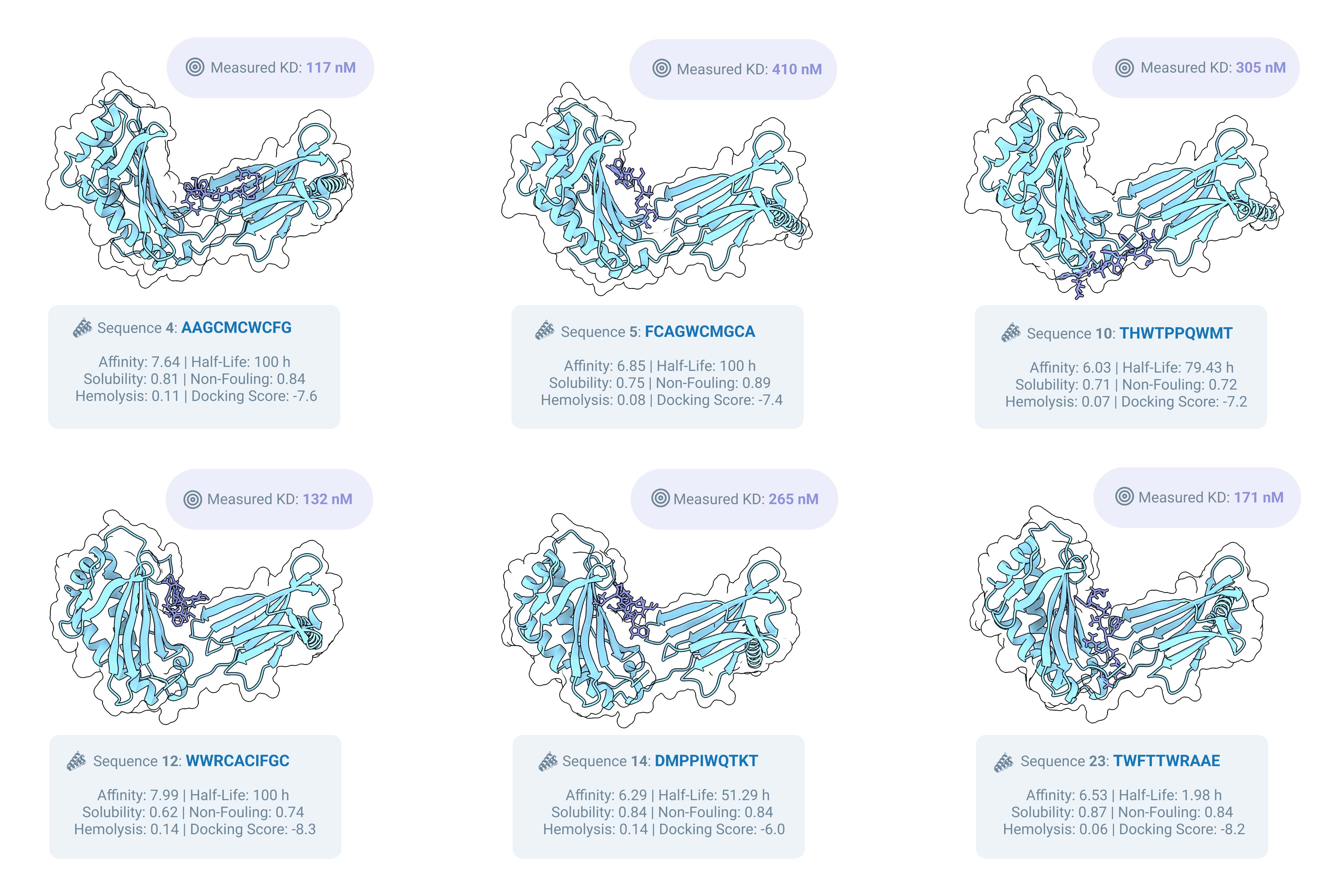Grid of all successful MOG-DFM binders with KD values and 