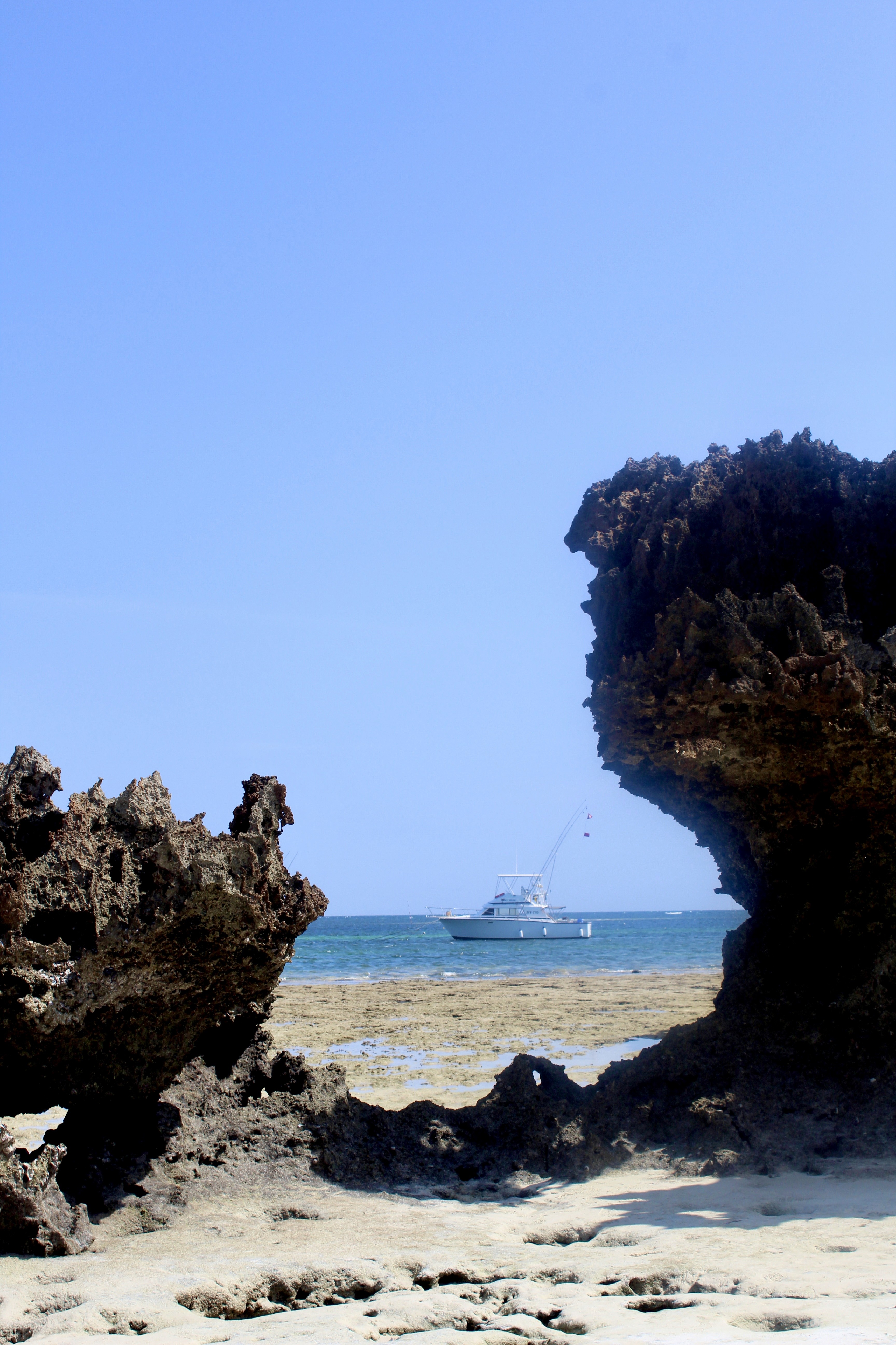 Fishing Tours Overview