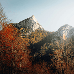 Atsiliepimas apie paslaugas