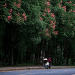 Atsiliepimas apie paslaugas