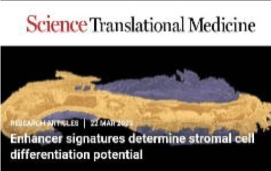 Illustration of science in translational medicine, emphasizing the connection between research findings and clinical applications.