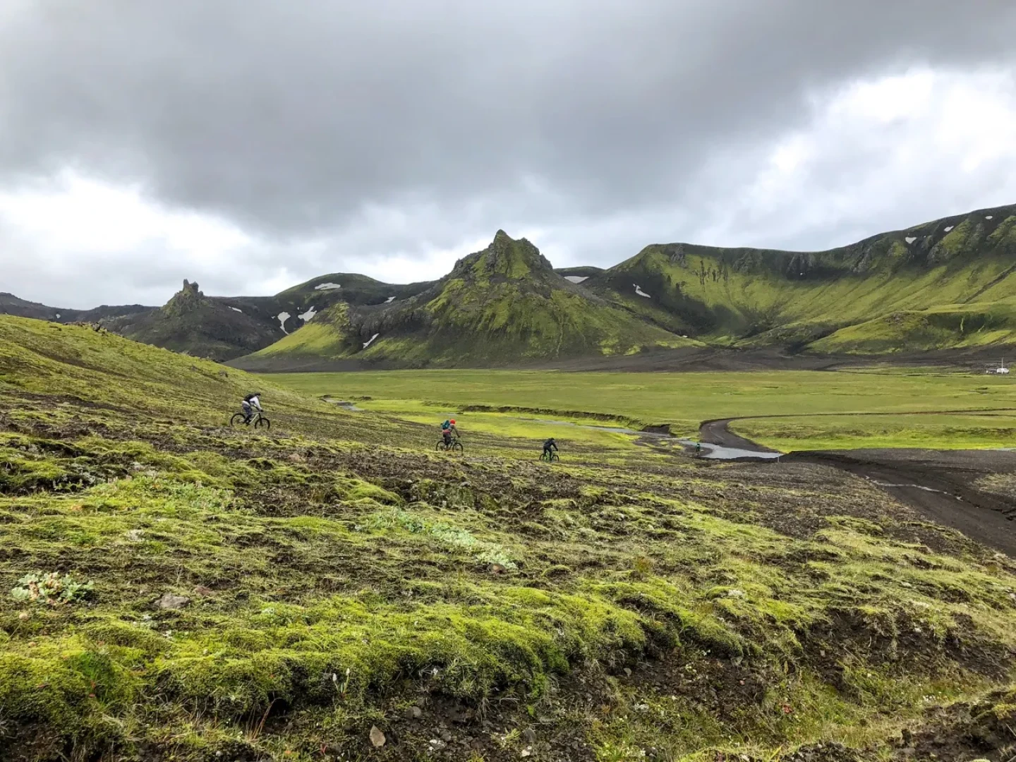 lush green landscape with mountain bike riders in backround