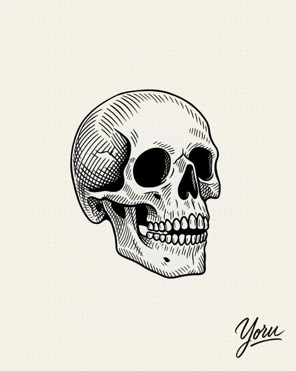 Diseño de tatuaje de una calavera humana en estilo de grabado, con sombreado hecho por finas líneas (achurado).