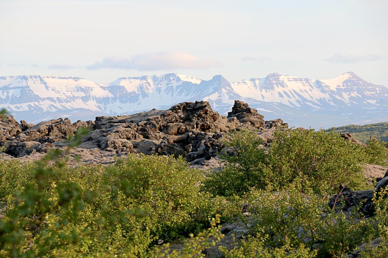 Lava at Hotel Bifrost