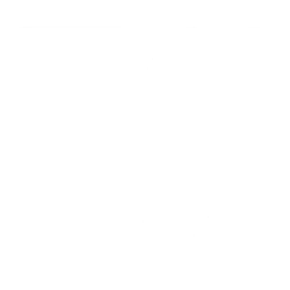 Shishtov Winery and Pansyer | Case Study