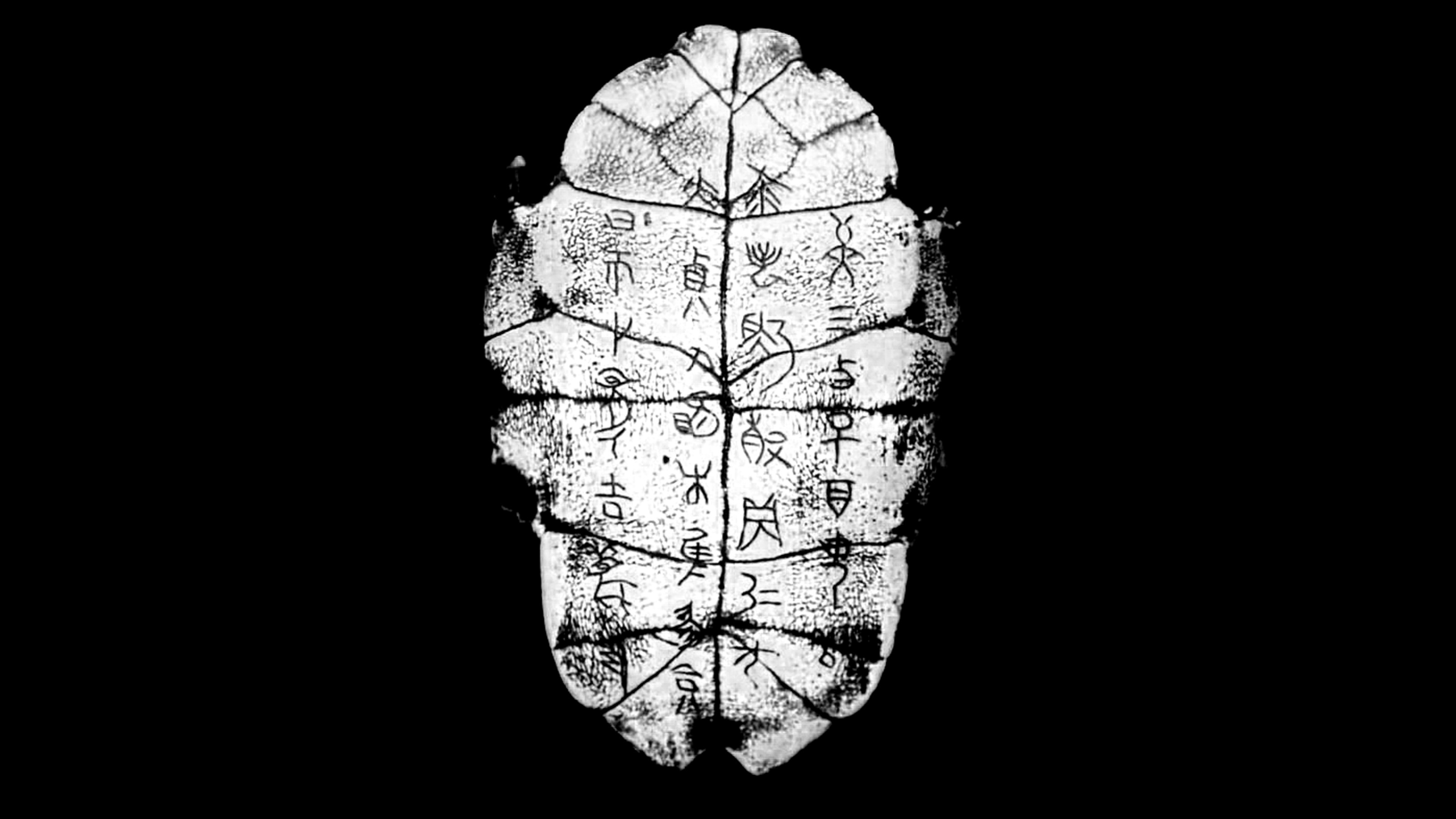 Modern Oracle-bones