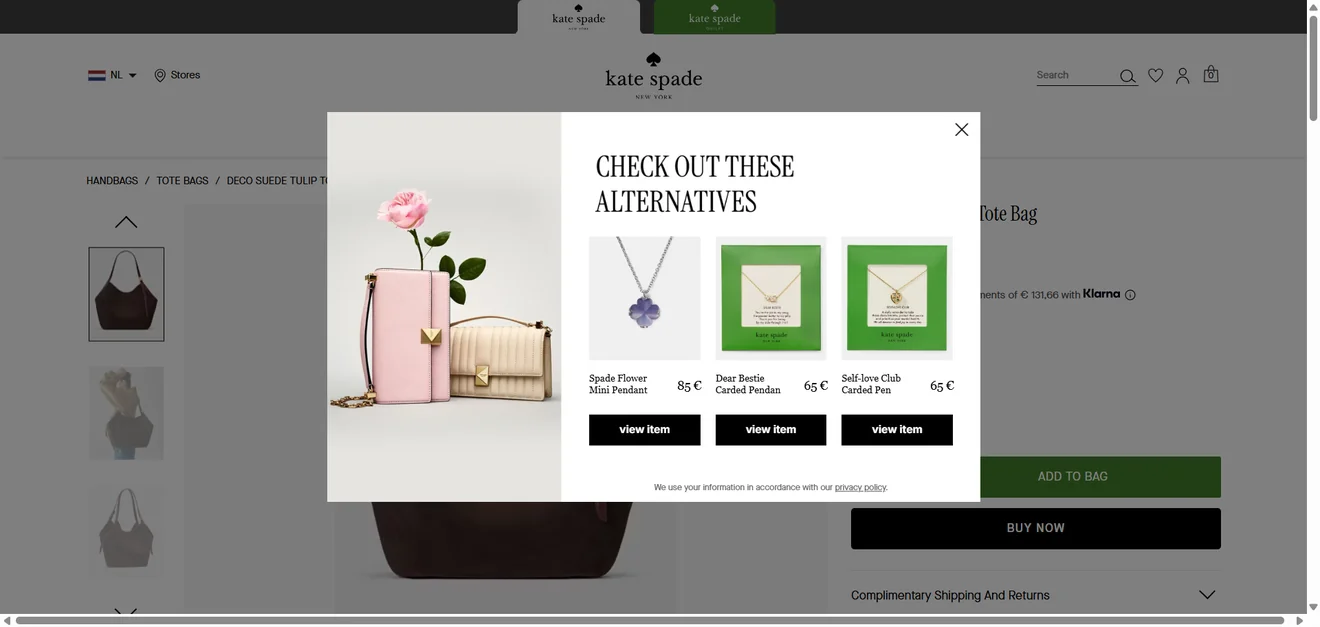 exit-intent-Kate-Spade-NL-02-13-2026_02_16_PM