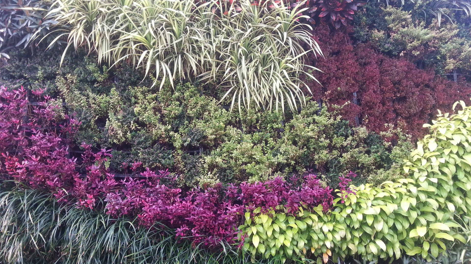 Diseño de paisaje en ciudad de mexico