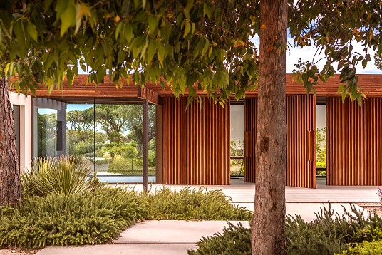Newly planted, staked young trees on a green roof terrace beside a modern residential building overlooking the sea