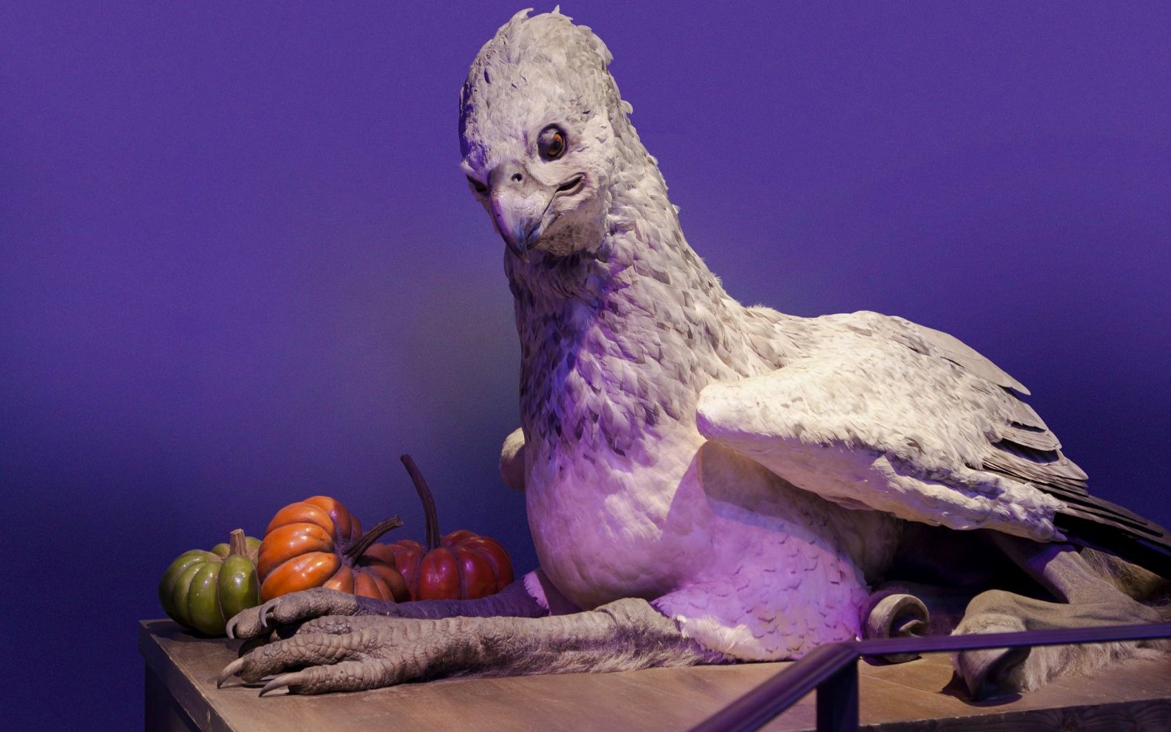 華納兄弟倫敦影城入面嘅巴克比克模型,附近有南瓜。