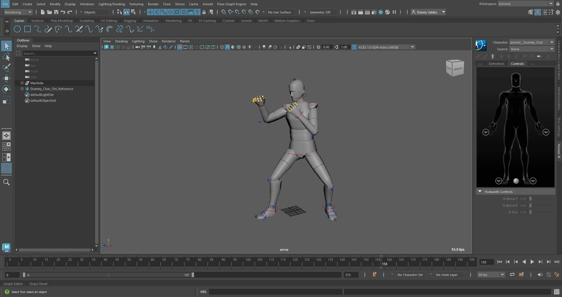 Gray Human Model in a fighting stance