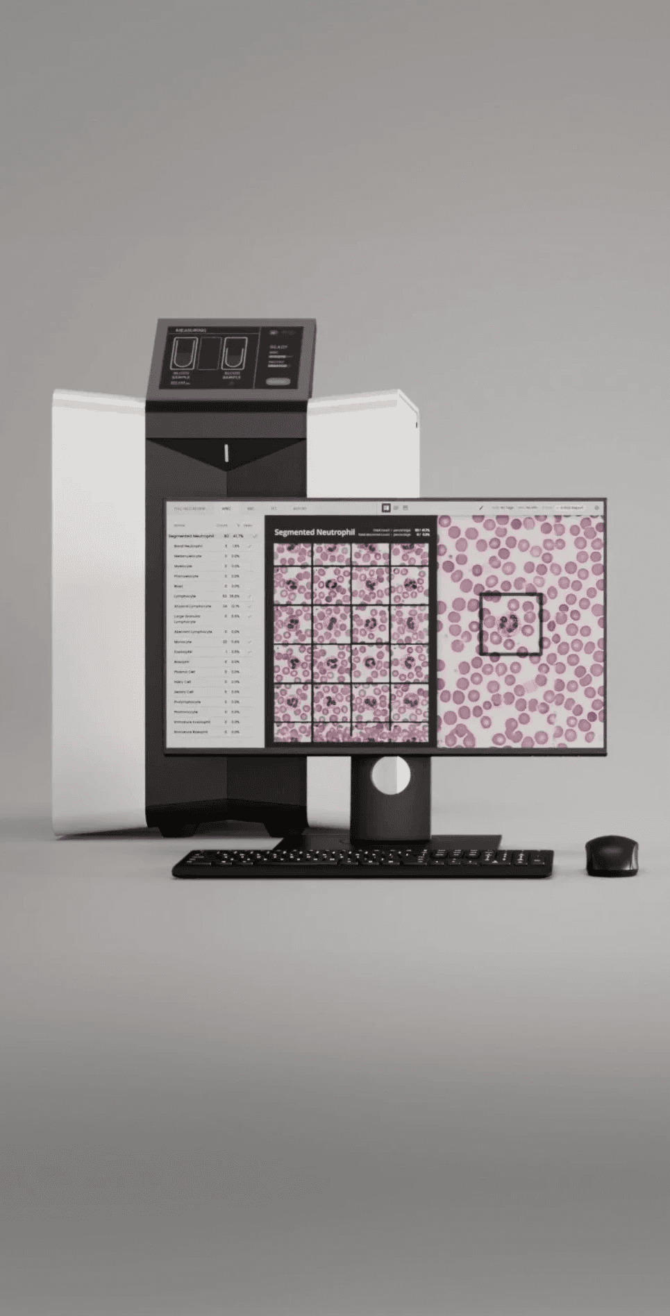 AI-Driven Acceleration of Cytomorphology Analysis