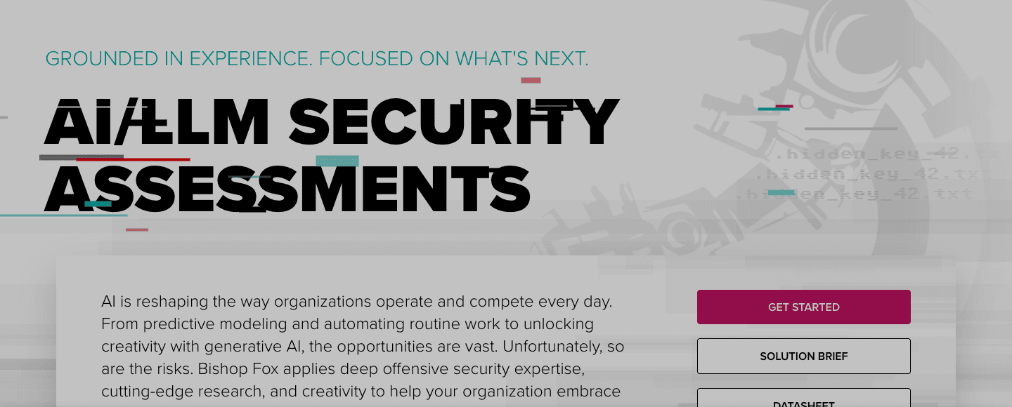 Bishop Fox AI and LLM security assessments