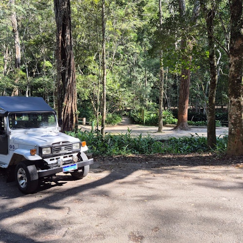 热带雨林吉普车旅行