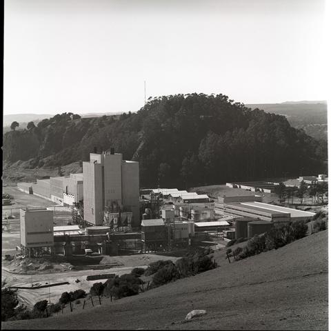 Planta Celulosa Constitución.