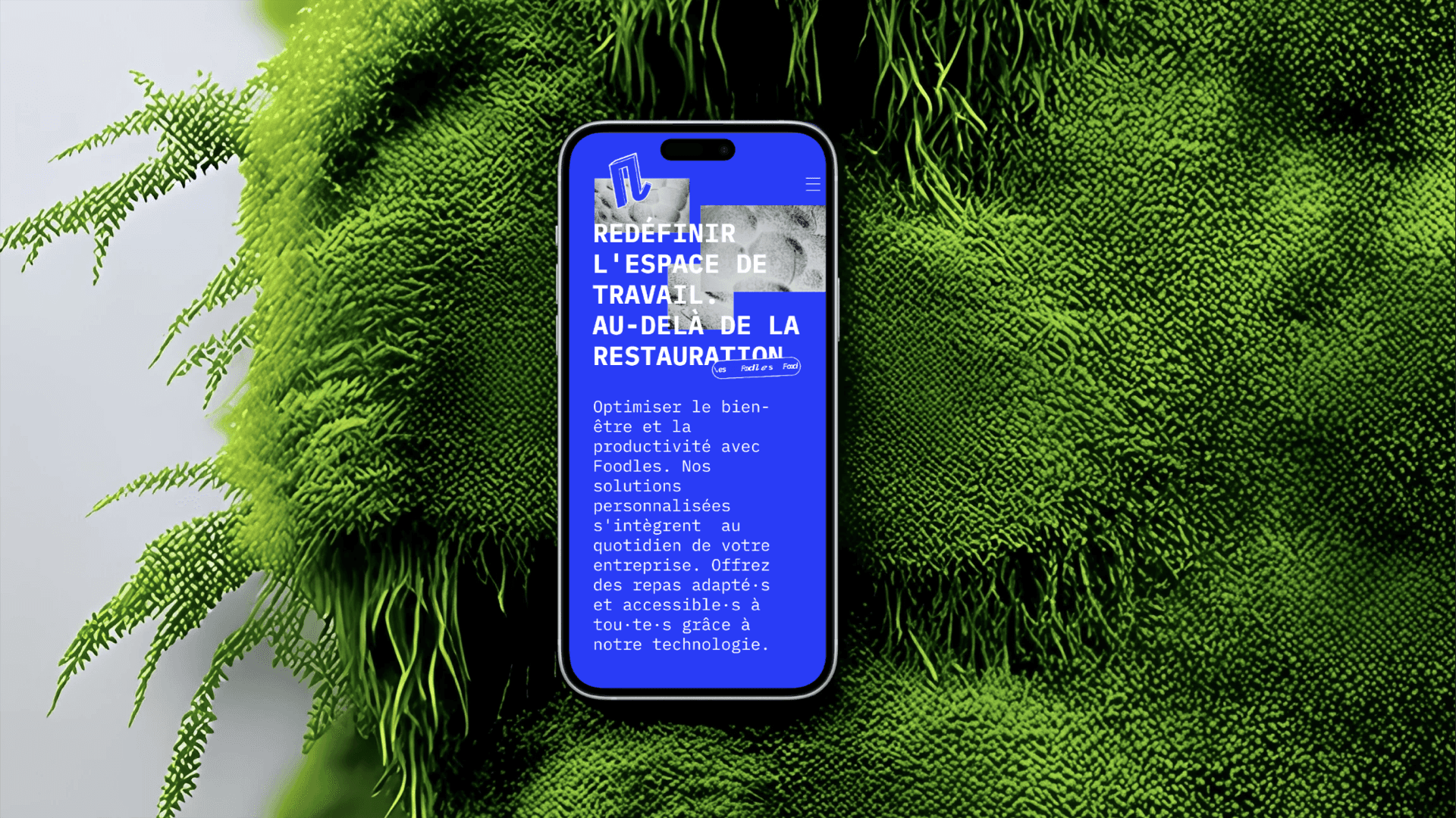 Une capture d'écran de la version mobile du site web Foodles, offrant une vue dynamique de la page d'accueil. Le texte est clair et concis, en harmonie avec la simplicité du design, et permet une navigation intuitive, axée sur l'accessibilité et l'optimisation du bien-être au travail.