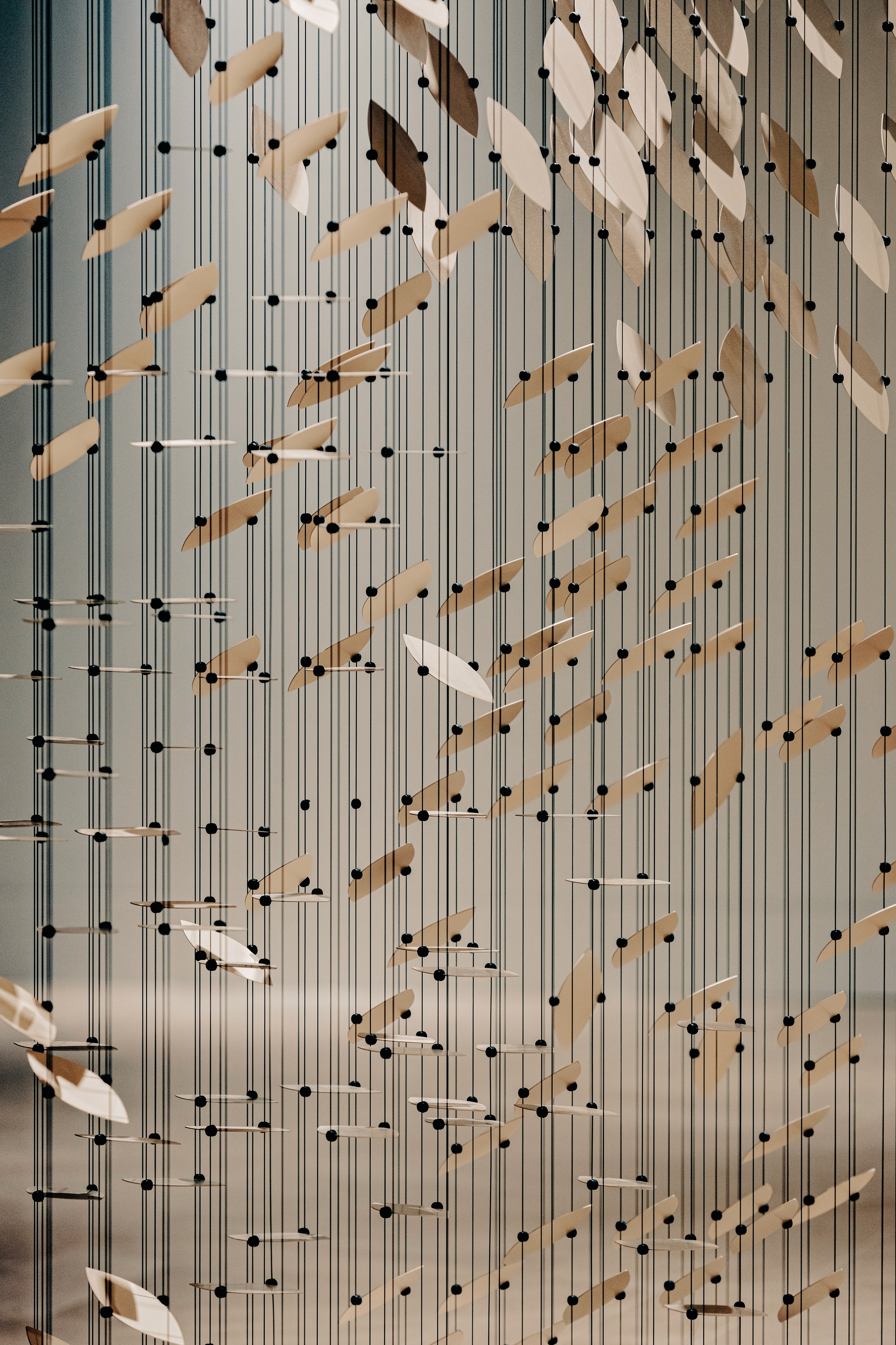 Image Credit: Faulkner Architects