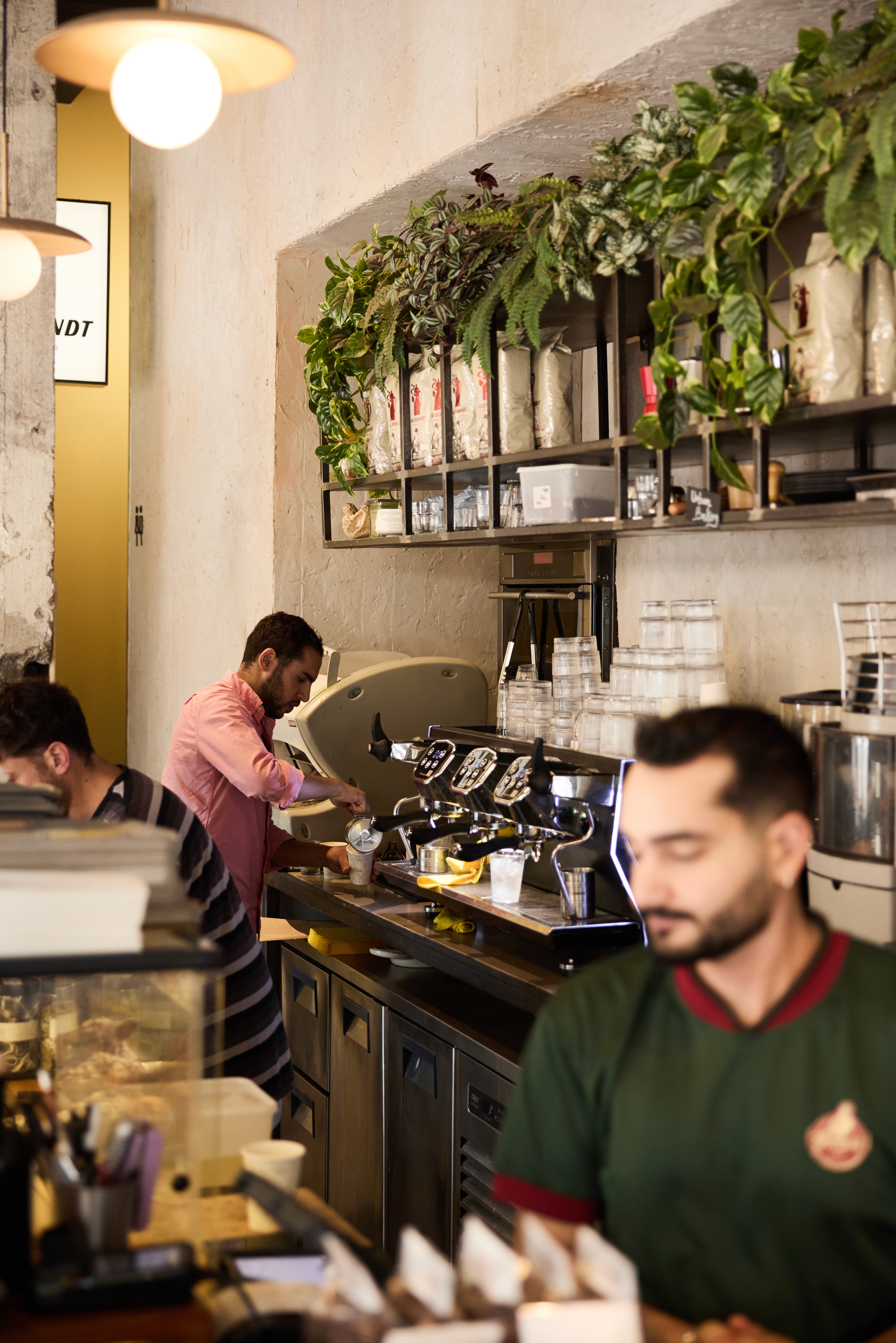 בריסטה בית קפה