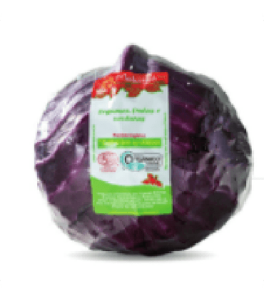 Foto de Repolho Roxo