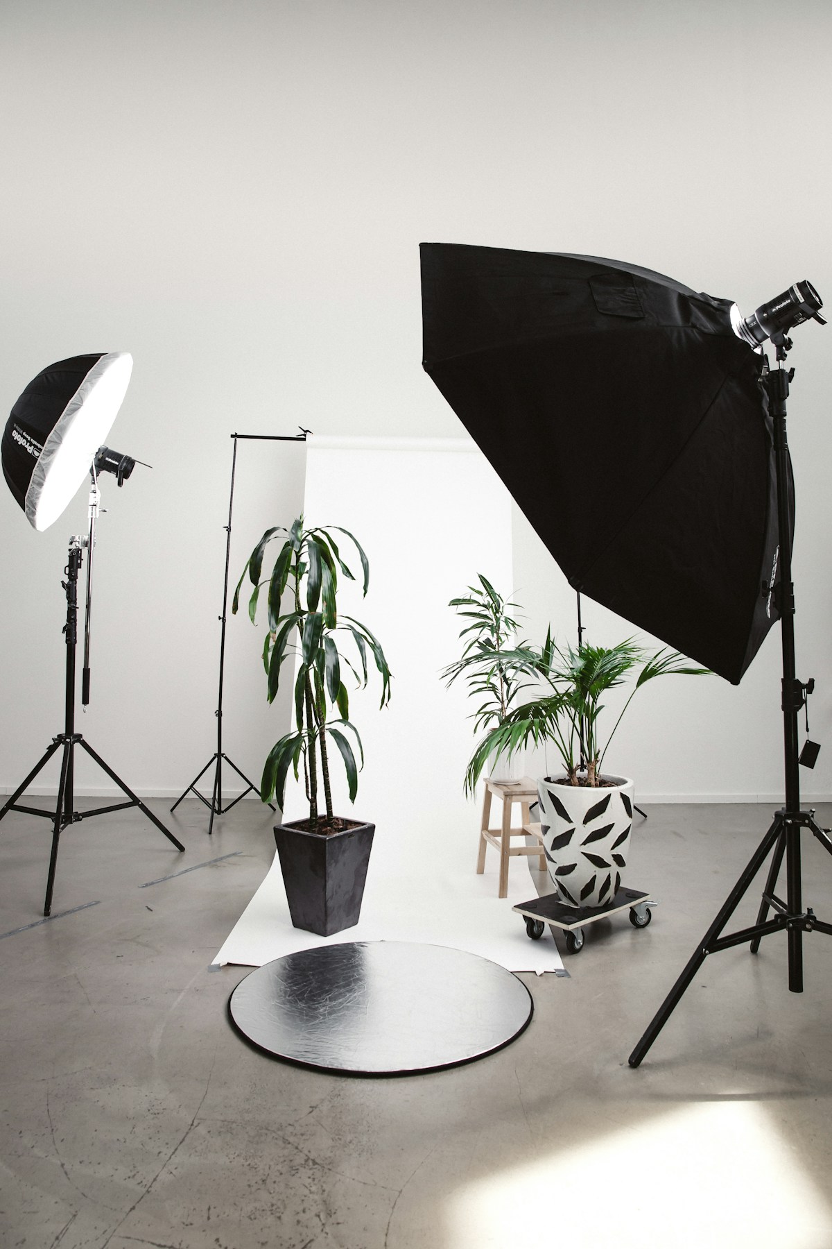Flique Concierge professional production set
