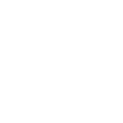 Weißes kreisförmiges Icon mit einem Magneten in der Mitte, in der Form eines „U“ und einem kleinen Blitzdesign.