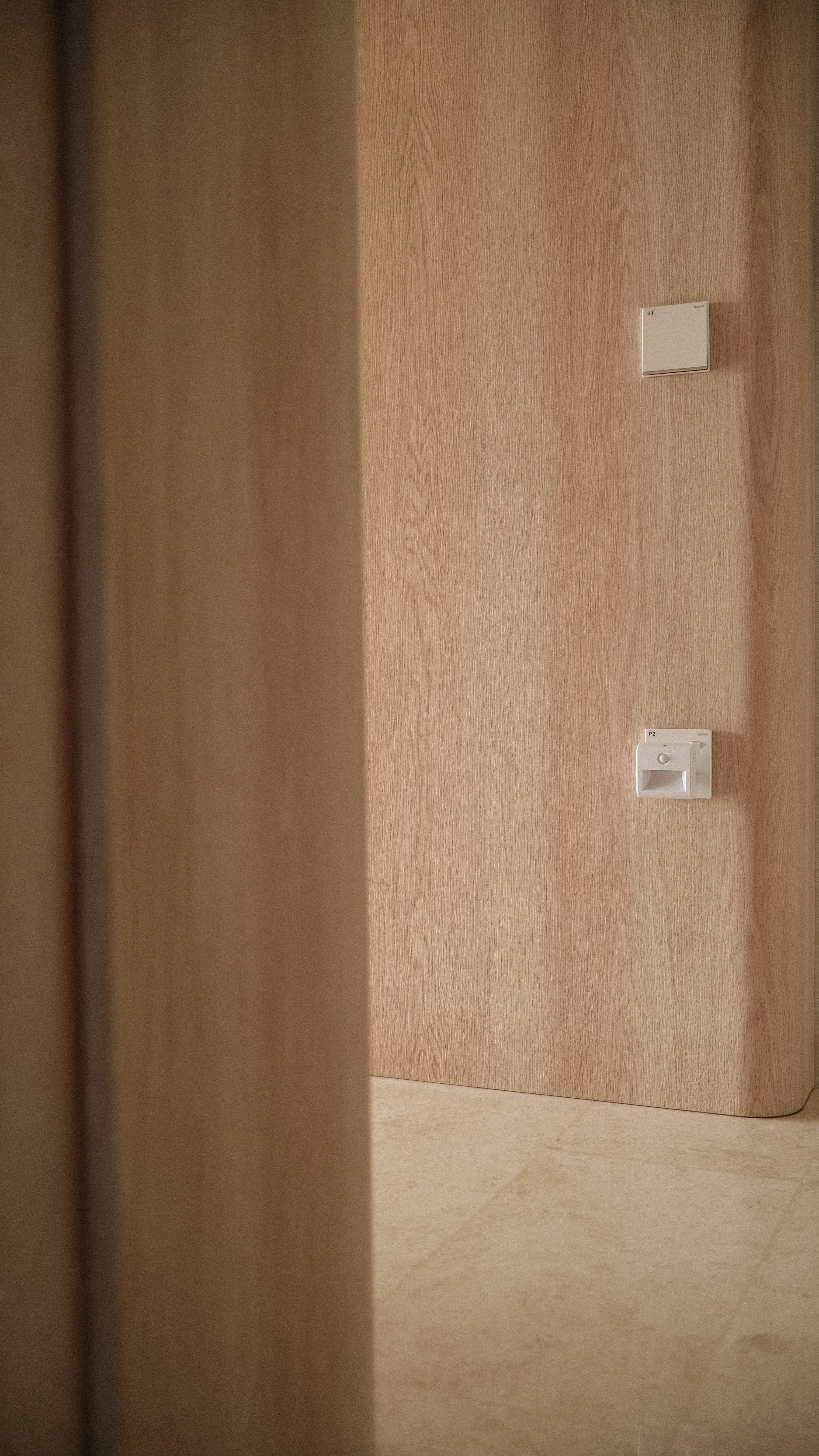 Wood veneer panel with modern light switch, subtle interior detailing in Singapore home renovation