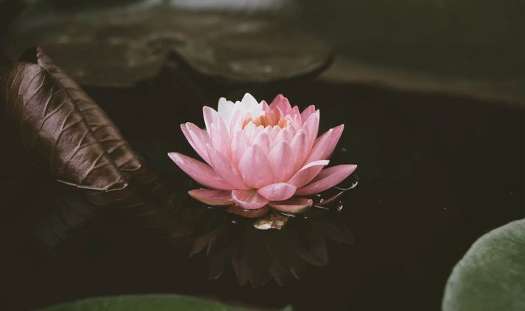 worker on laboratorium