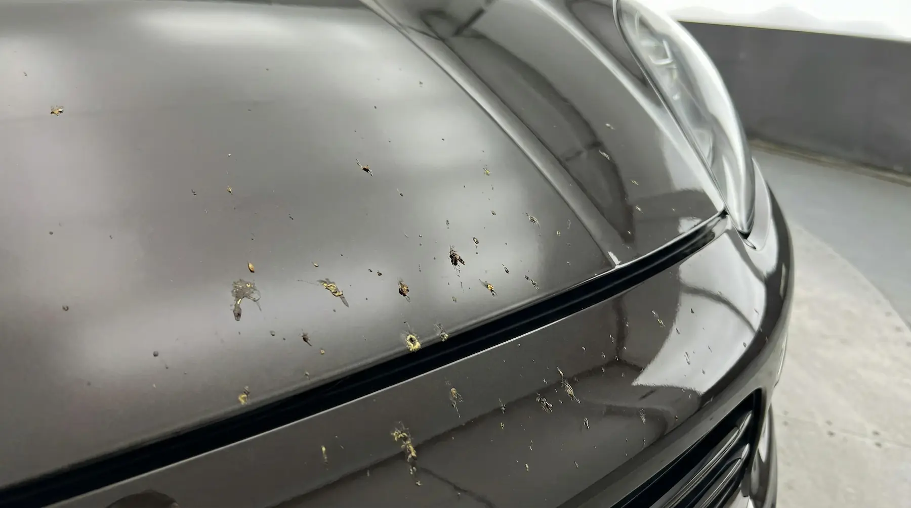 Fientes d’oiseaux sur la peinture d’une Porsche Macan