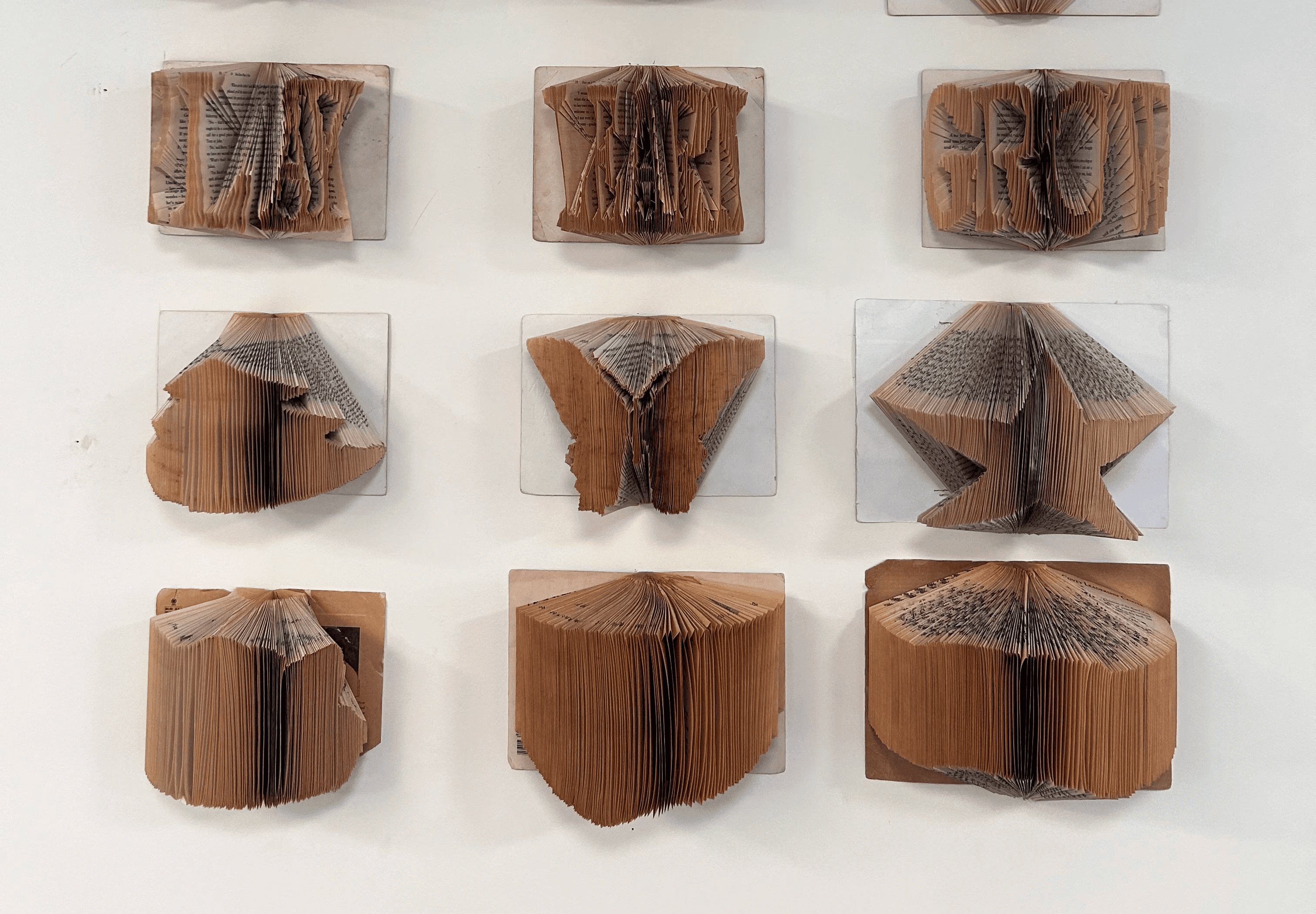 Laptop showing Bloomy UI