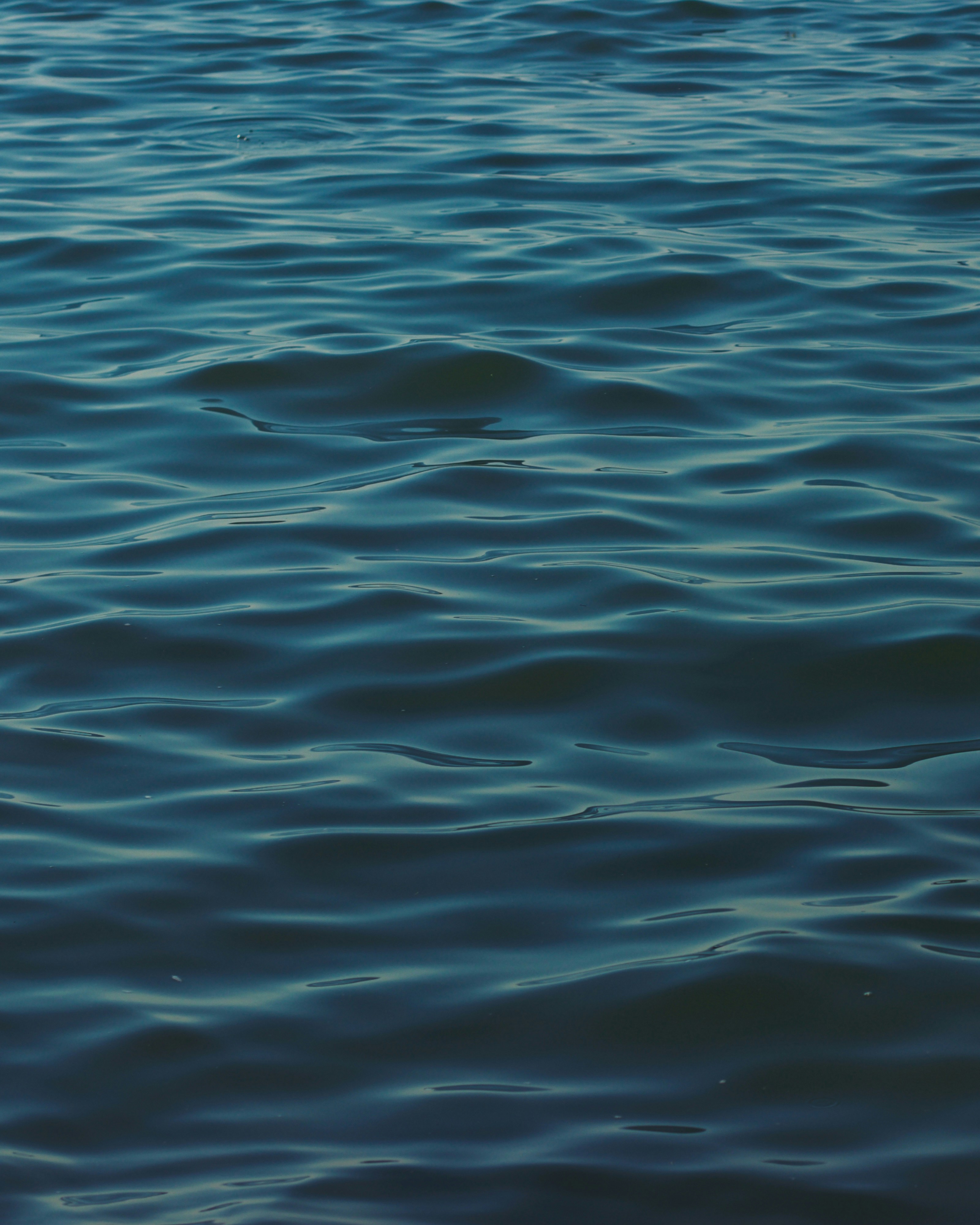 blue sea - IGMAR