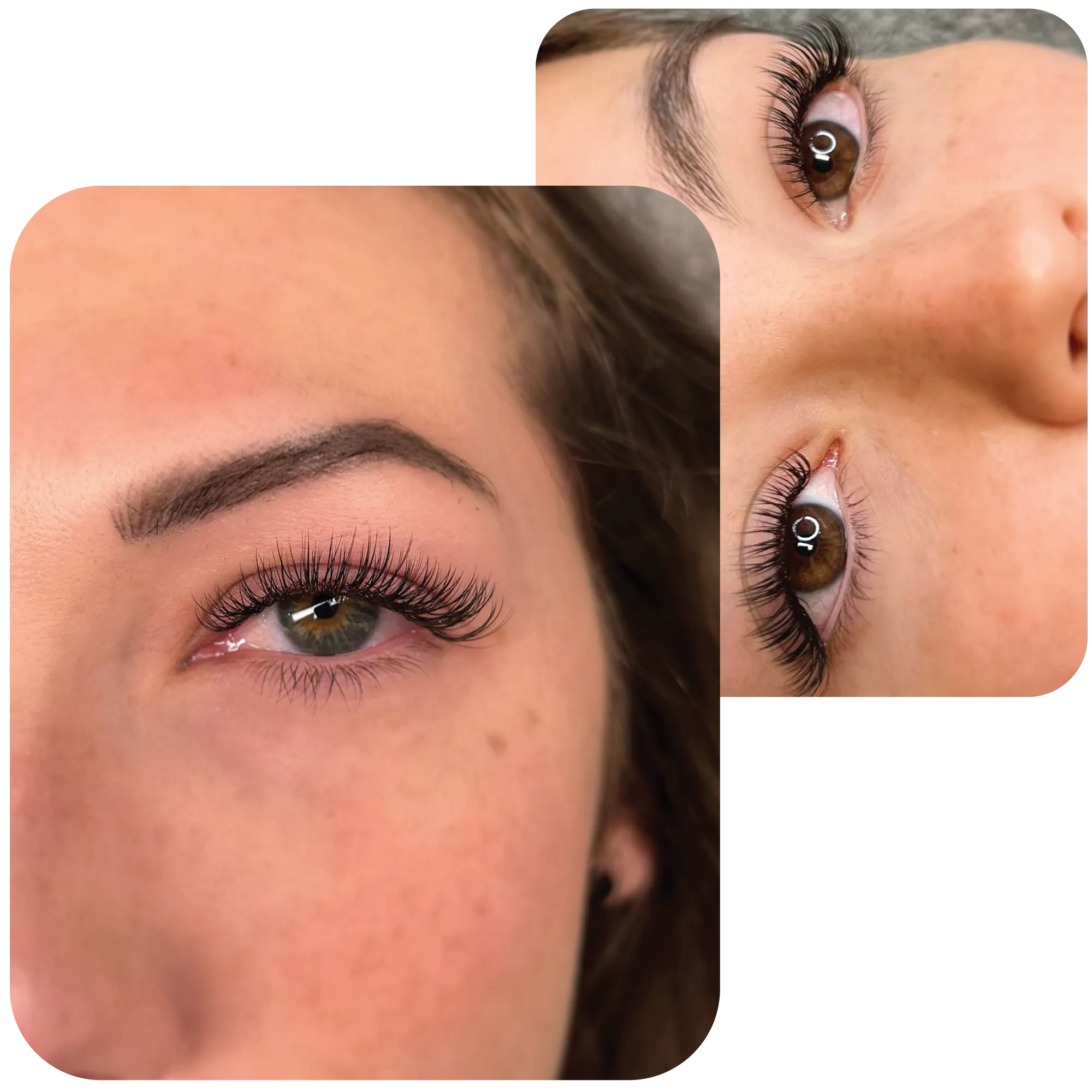 Classic Lashes - Simple Elegant, and timeless