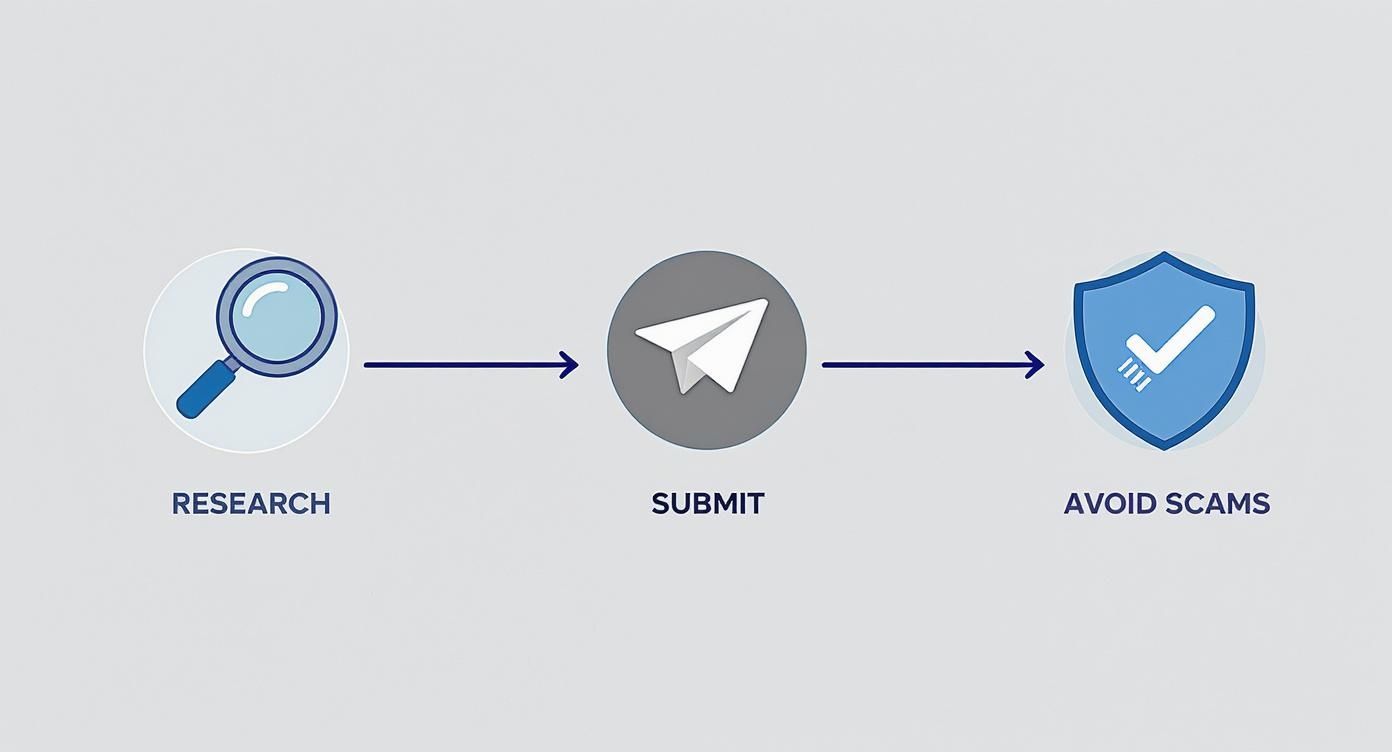A three-step process diagram showing Research, Submit, and Avoid Scams with corresponding icons.