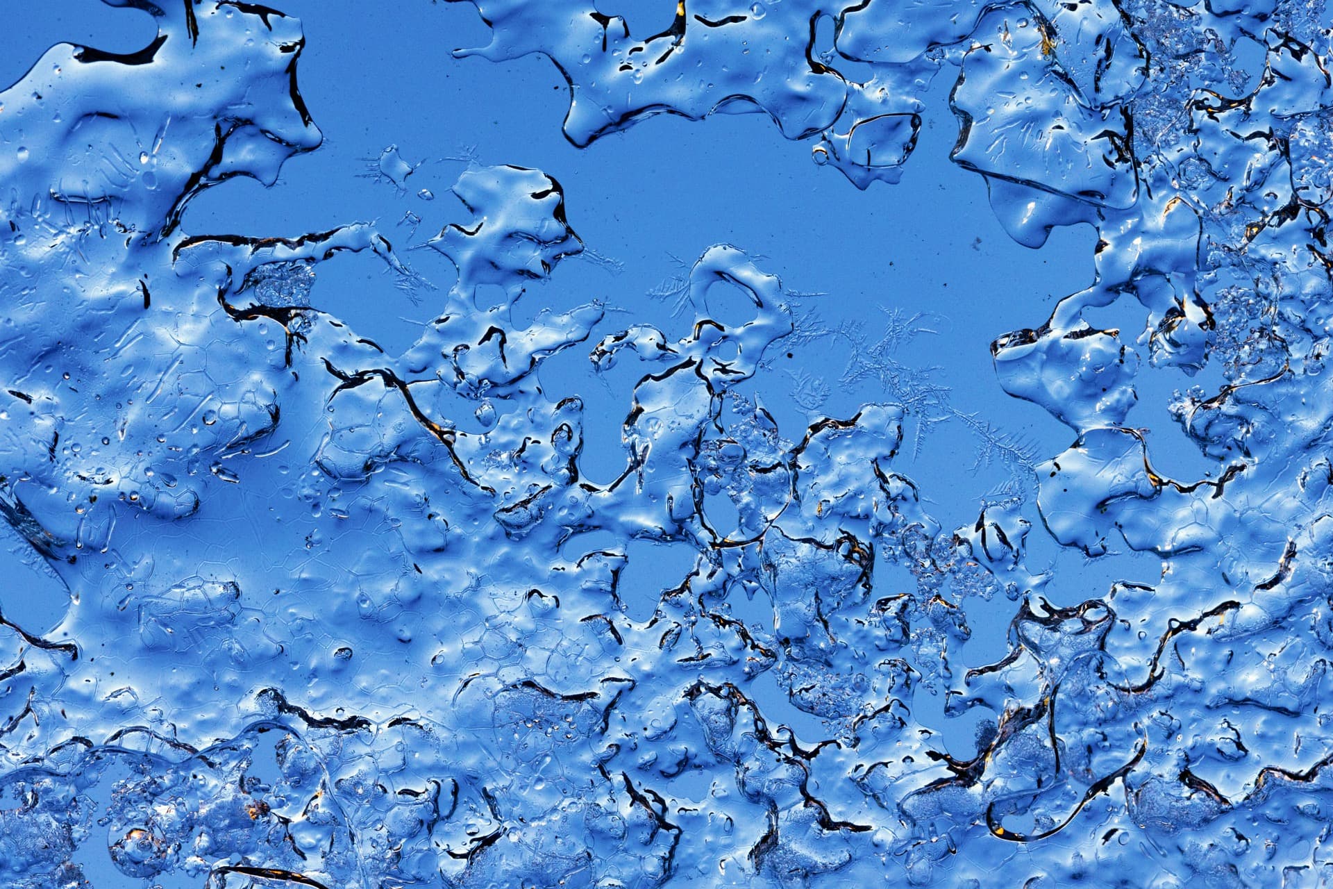 Macro photograph of ice crystal formations on skylight window pane, organic branching patterns creating network across glass, rich blue tones with transparent and translucent textures