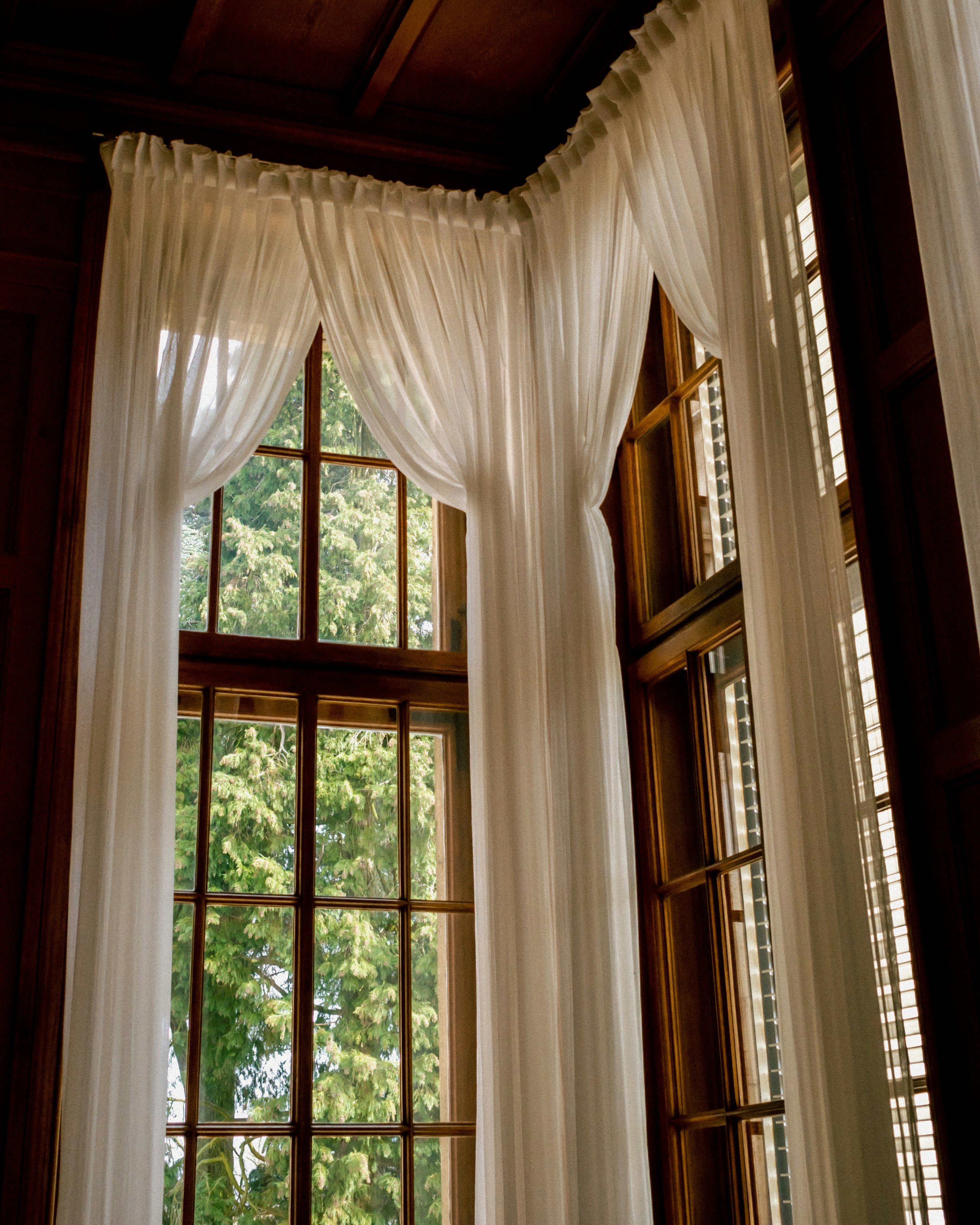 White curtains frame a bright window.