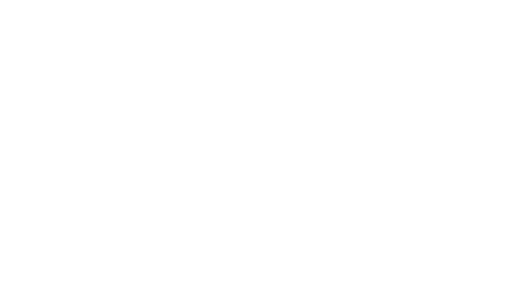 Aniar Offshore Array logo – Renewable energy brand logo for Aniar, an Irish offshore wind project.