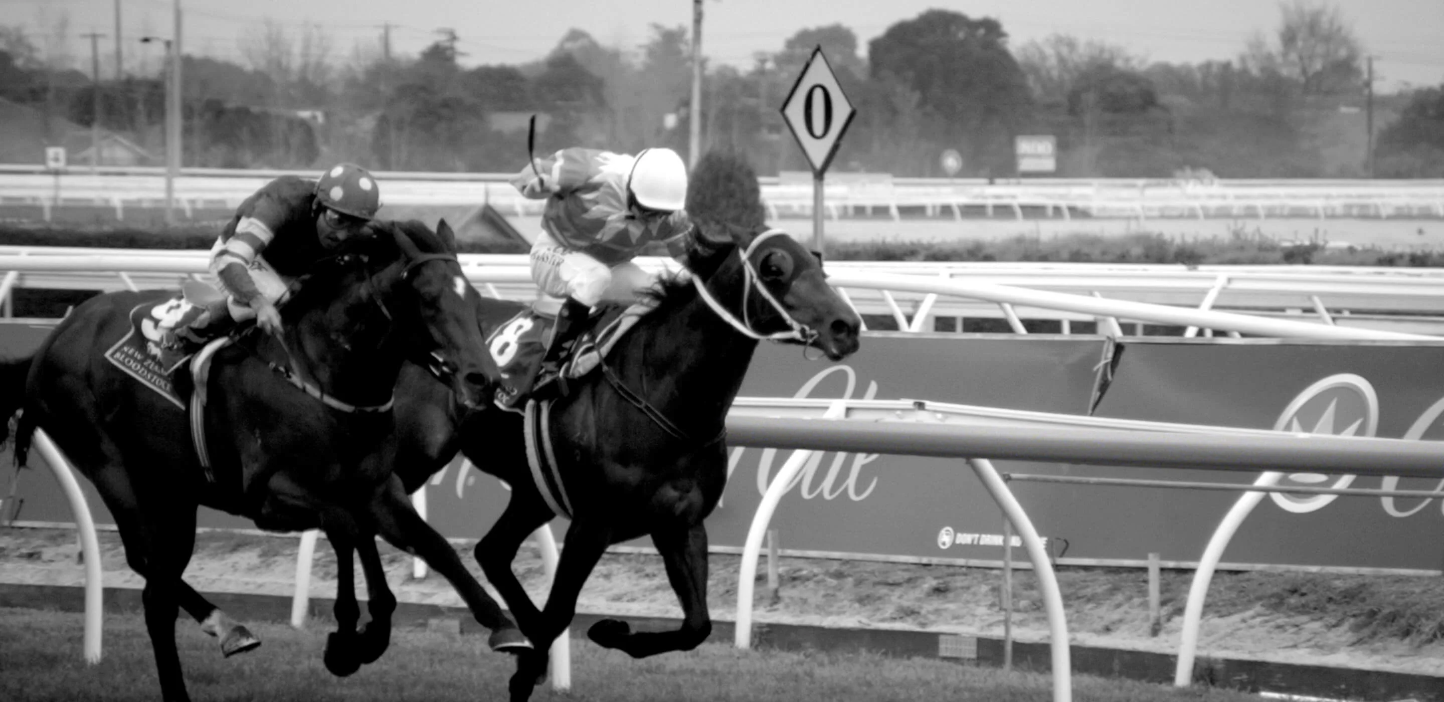 Black-and-white photo of two jockeys racing side by side, from Tom Waterhouse's campaign