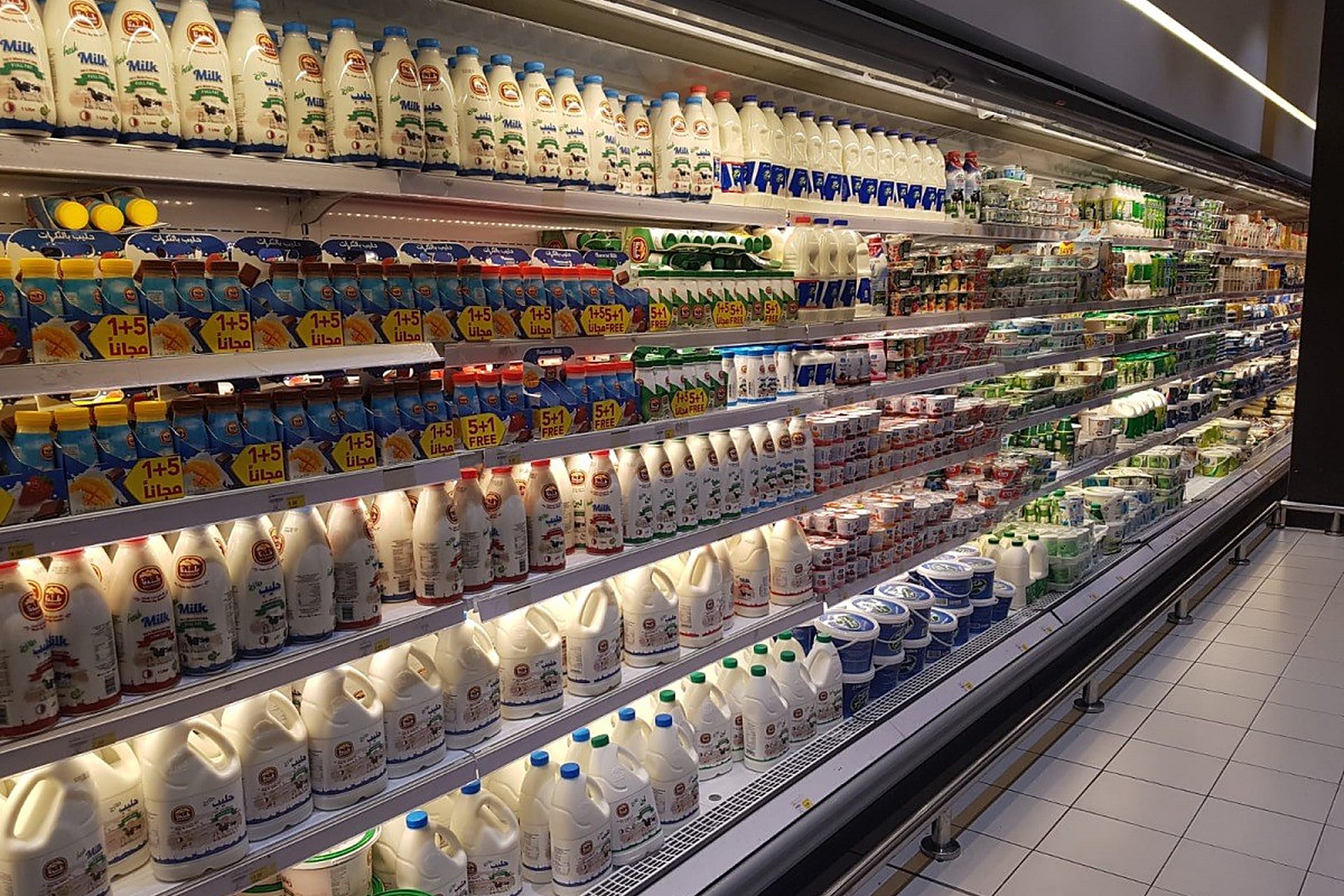Un rayon de lait et de produits laitiers dans un supermarché au Qatar, rempli de marques du pays