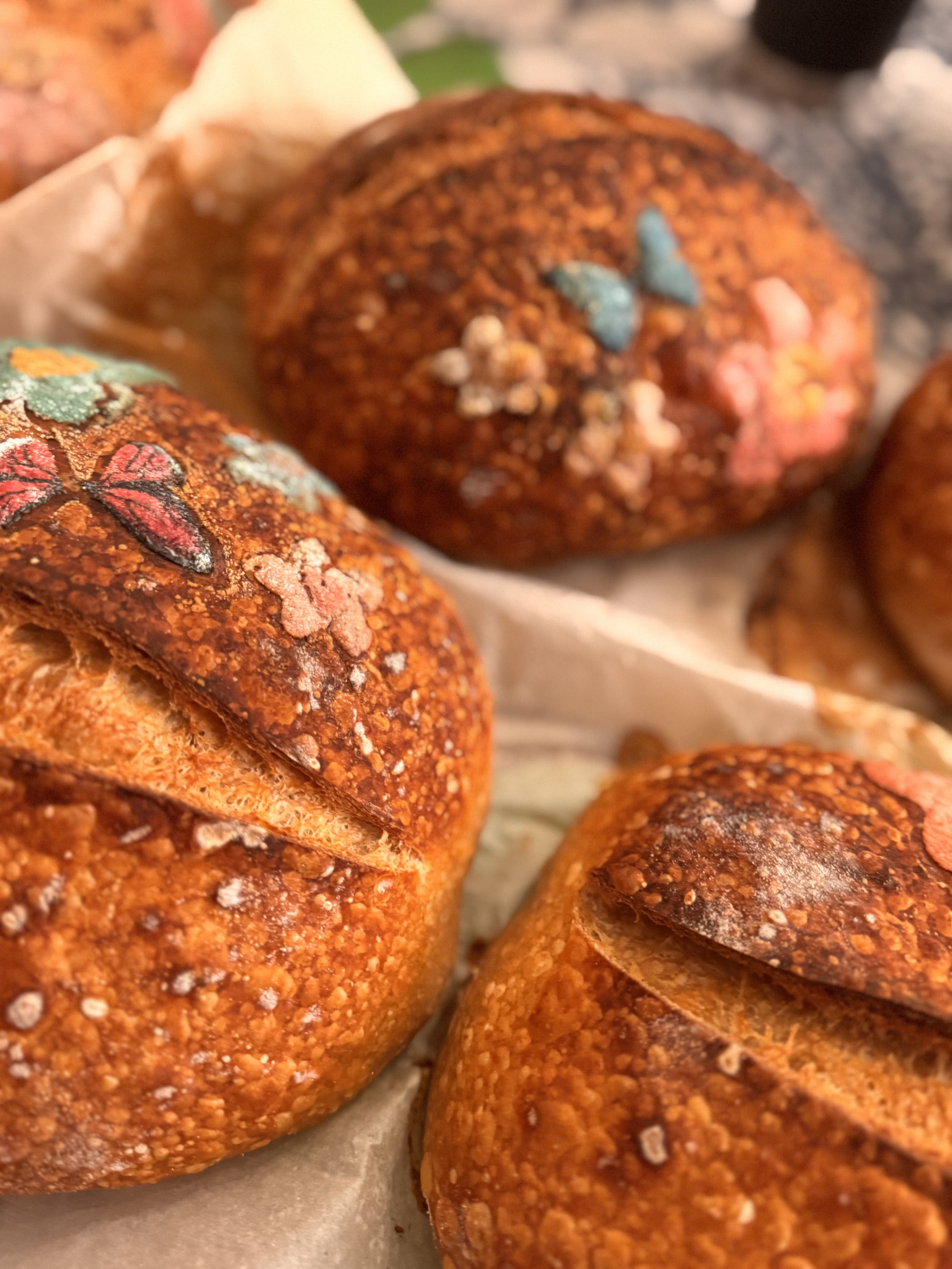 Colorful sourdough loaves golden and fresh
