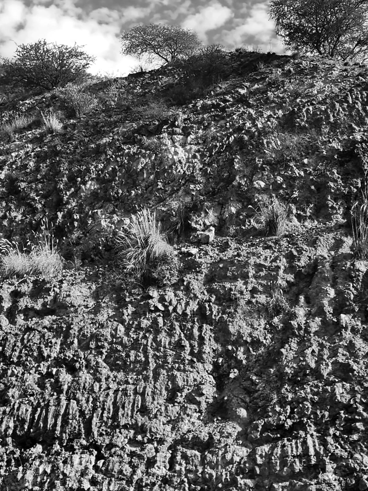 Bob Truman the Artist