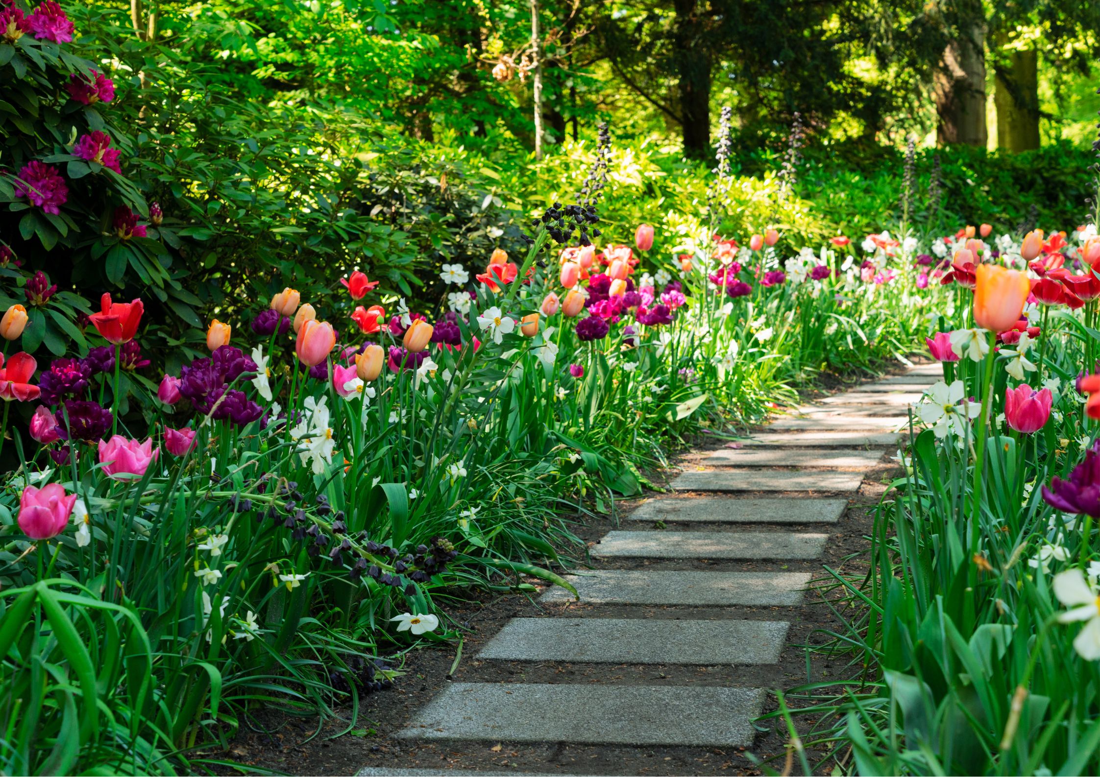 Garden in March preparing for spring