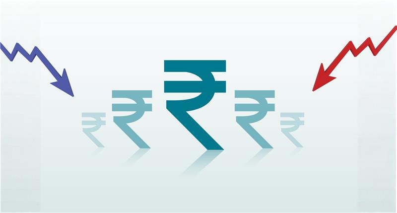 Close-up of lush, dark green leaves, some glossy and wet, against a muted background.