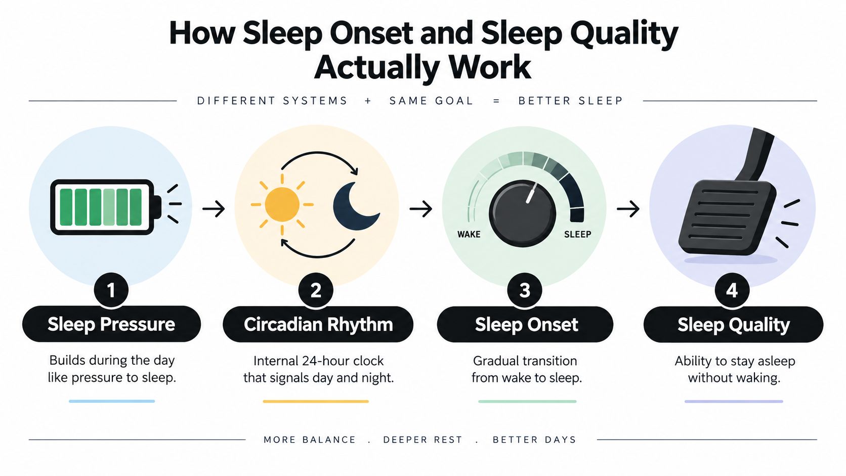 A diagram explaining the four key factors of sleep pressure, circadian rhythm, sleep onset, and sleep quality.