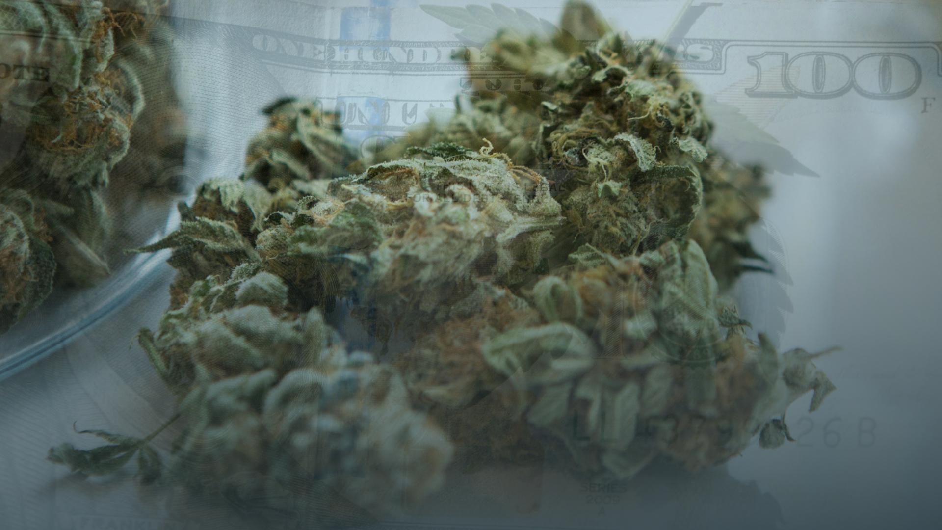 cannabis bud on a table dollar bill overlay in background
