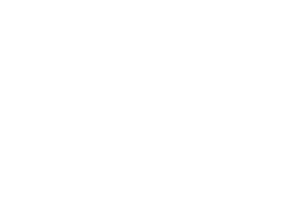 Logo Karriere Initiative VSSM