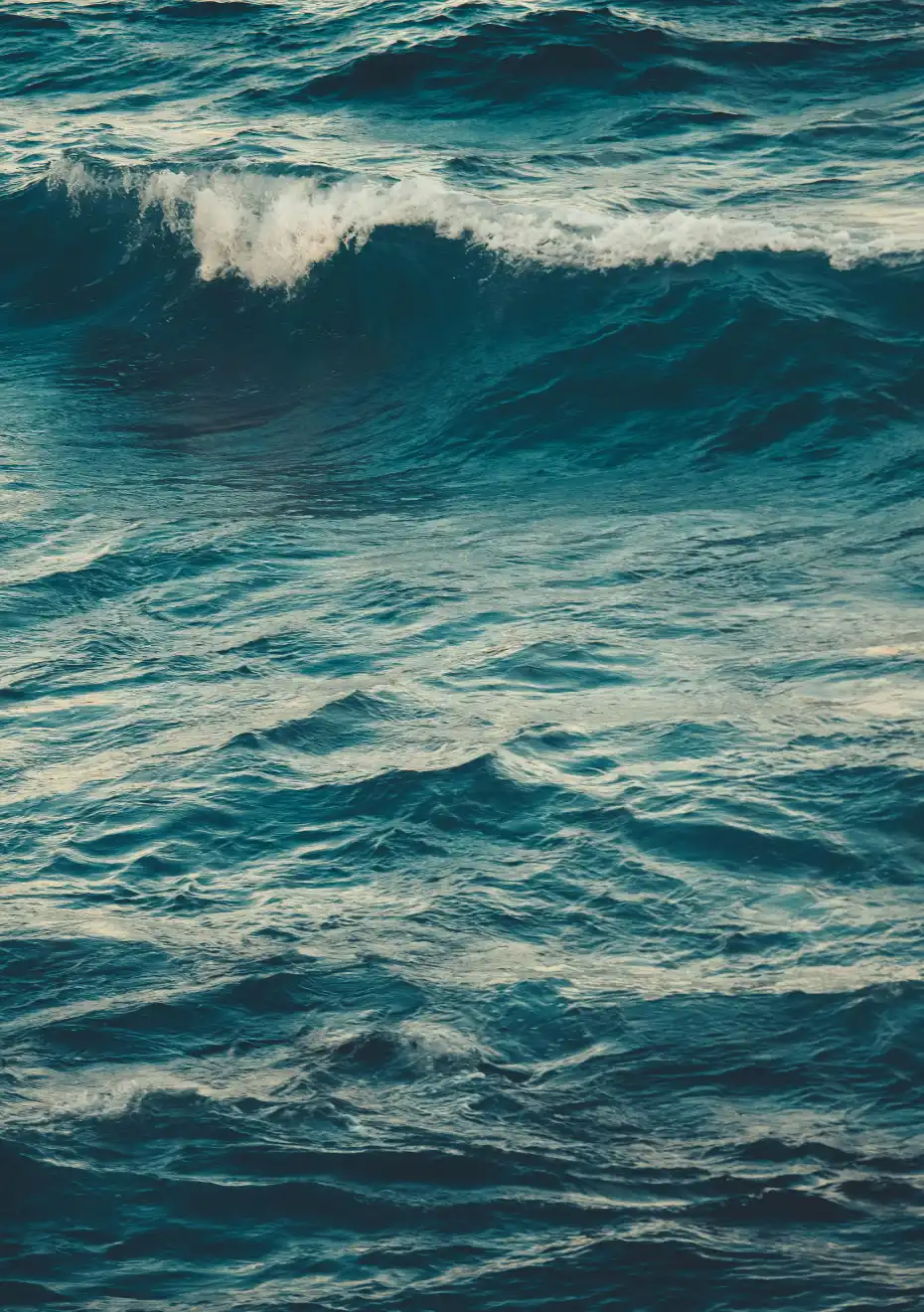 ocean and wave