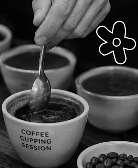 Coffee cupping session with bowls