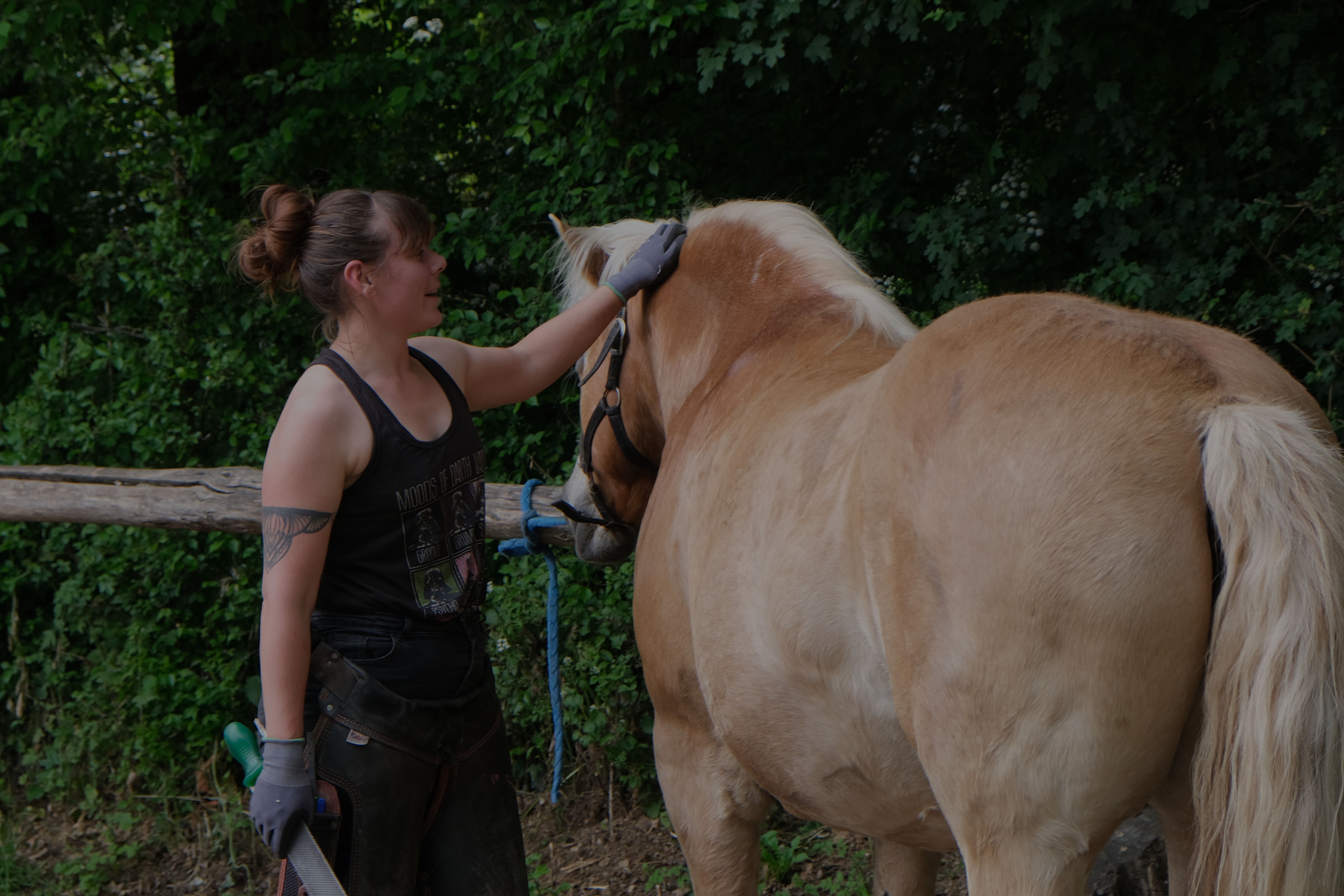 Femme carresse un cheval dans la nature, podologue équin